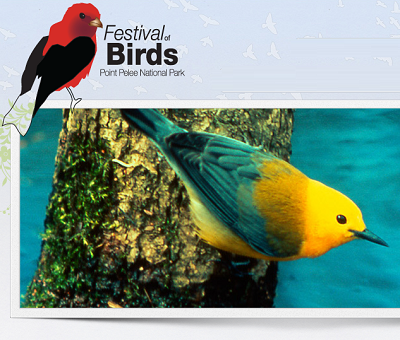festival of birds leamington