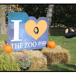 fall at the Toronto zoo