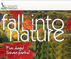 halton fall into nature program