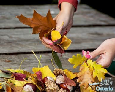 Colourful autumn leaves, pine cones and acorns in female hands